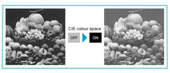 CIE colour space